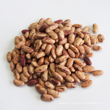 Hot Sale Red Kidney Beans with Export Light Speckled Kidney Beans